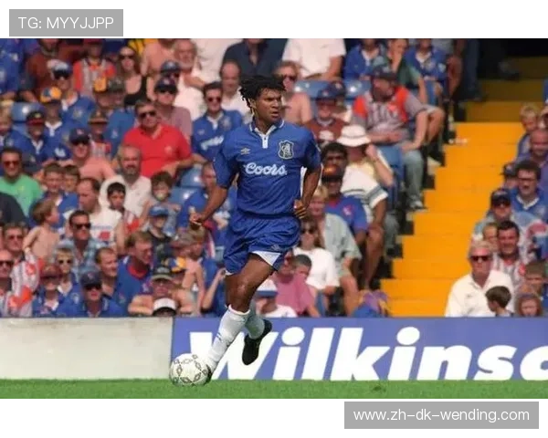 英超荷兰球员名单及代表球员表现盘点