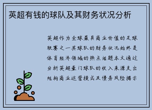 英超有钱的球队及其财务状况分析