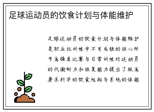足球运动员的饮食计划与体能维护